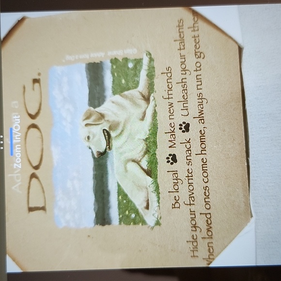 DOG -STONE COASTER with Easel and Nylon Collar - Picture 6 of 14